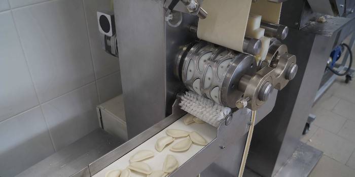 Zasada działania przemysłowej maszyny do dumpling