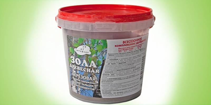 Popiół drzewny