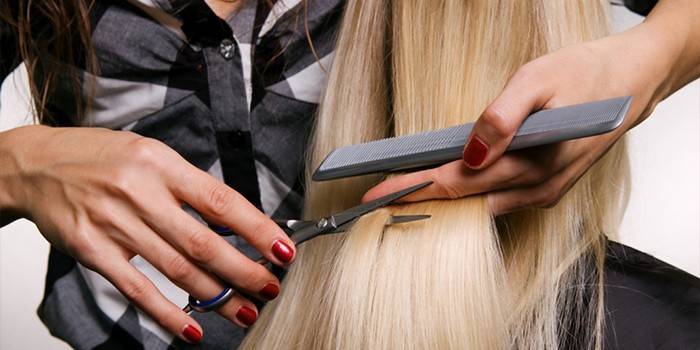 El peluquero corta a la rubia.