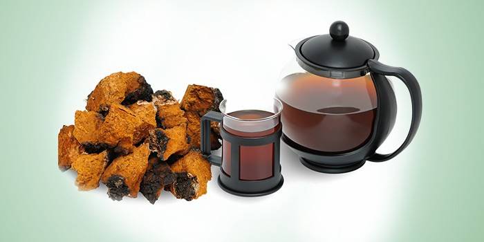 Decocção de chaga