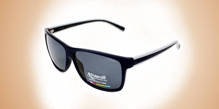 Óculos clássicos para homens Polaroid PLD 2027 / S M3L