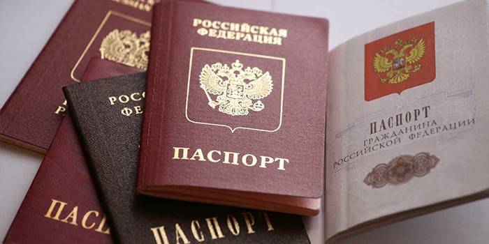 Pasaportes de todos los miembros adultos de la familia.
