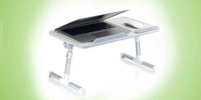 Kompaktowy SmartBird PT-34A