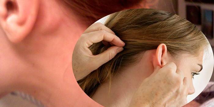 El doctor examina a una niña