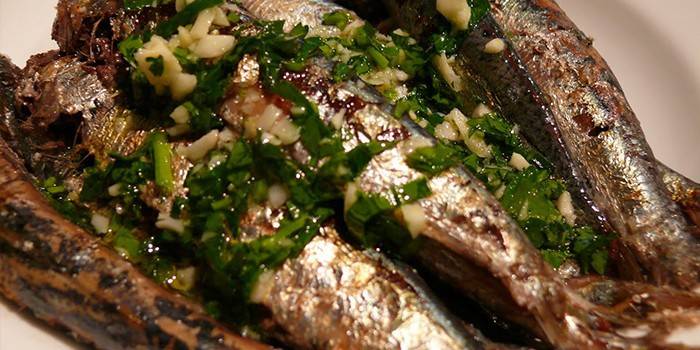 Bacalau