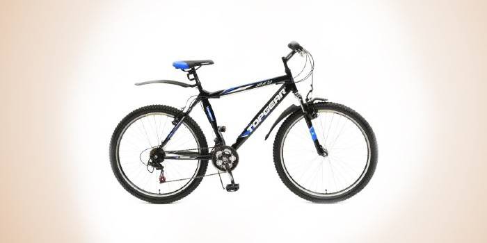 Top Gear Jakarta BH26382
