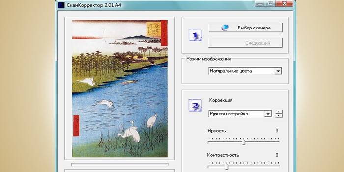Skanuj okno programu A4 Korektor