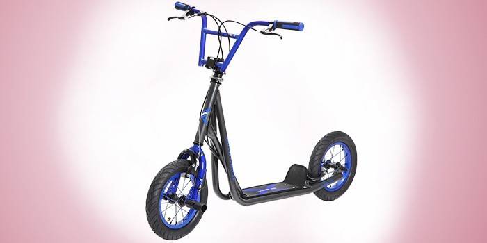 Novatrack STAMP N1