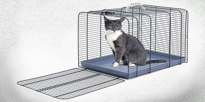 Imac Trasporto Gatto Solid Cage