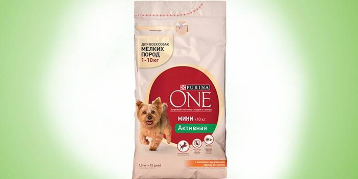 Purina jedna