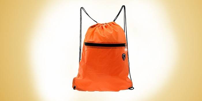 Bolsa para sapatos