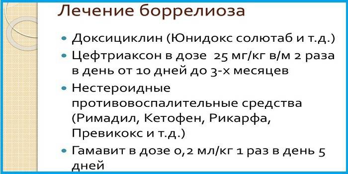 leki stosowane w leczeniu boreliozy