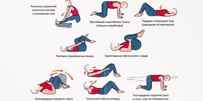Cvičenie na bedrovú osteochondrózu