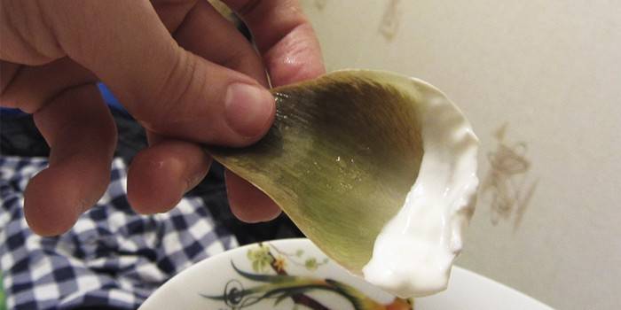 Folha vegetal com molho