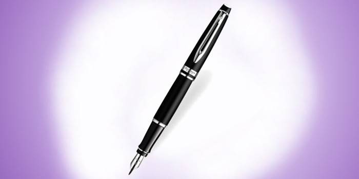 Pióro wieczne Elite Waterman S0963290