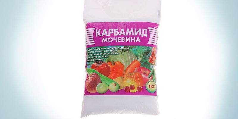 Mocznik Mocznik