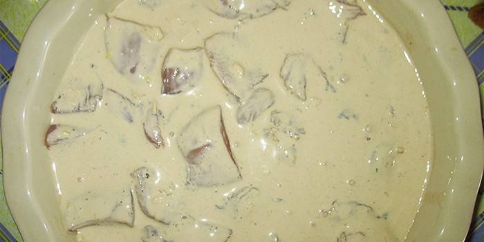 Carne em creme azedo