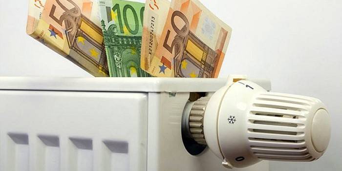 Batería calefactora con relé térmico y billetes de dólar