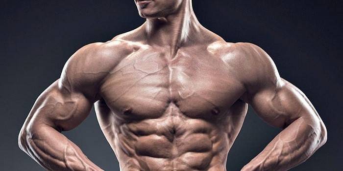 Homem musculoso