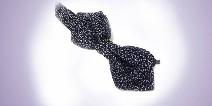 Čierny a biely motýľ Chriastian Lacroix 818548