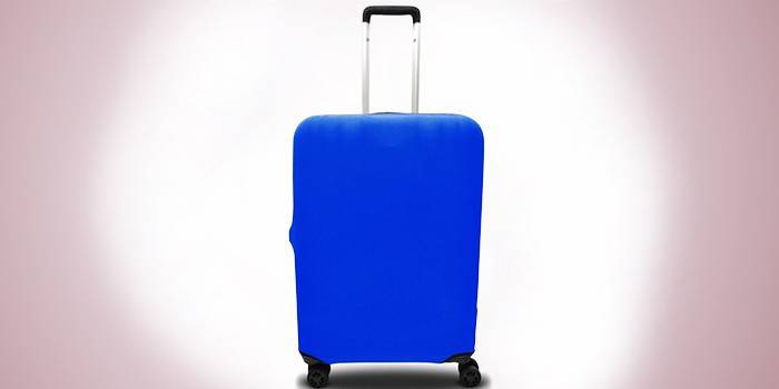 Maleta con ruedas con asa en estuche protector
