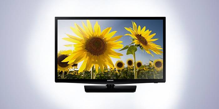 Samsung UE19H4000