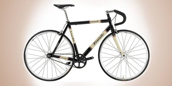 Alumínio Pinarello Lungavita