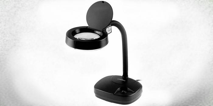 Stayer Professional 40531