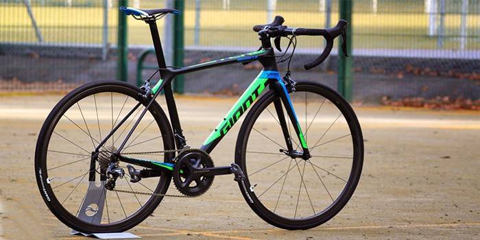TCR Gigante Avançado 1