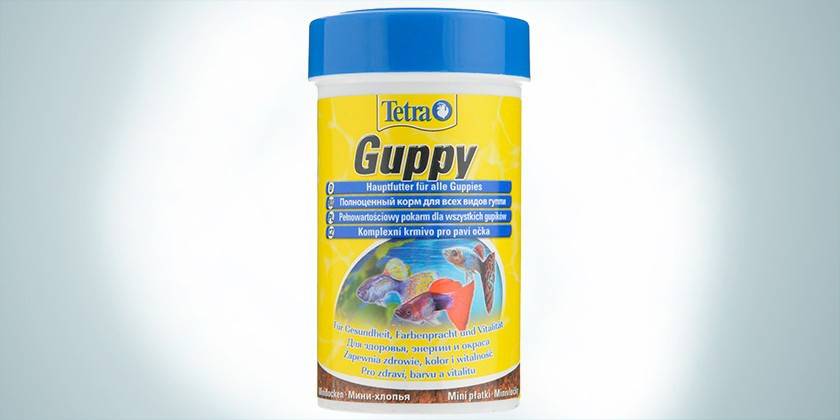 Gupik