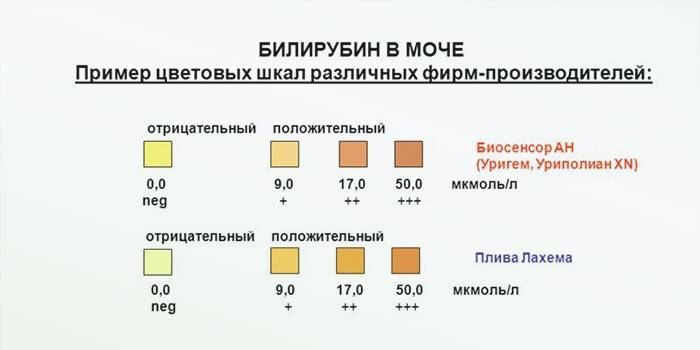 Indicadores de bilirrubina