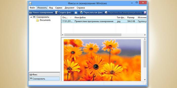 Program do skanowania w systemie Windows
