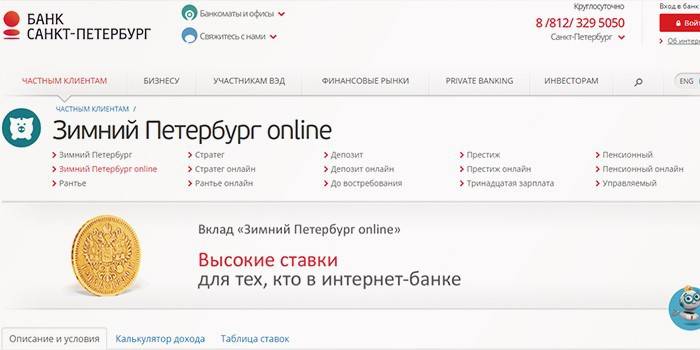 Zimowy Petersburg online