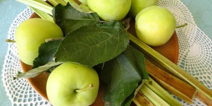 Ruibarbo y manzanas