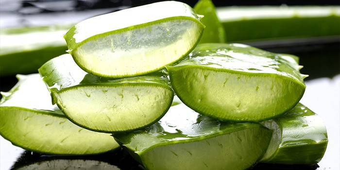 Folha de aloe fresco