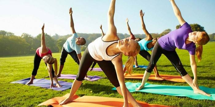 O grupo está envolvido em ginástica ao ar livre