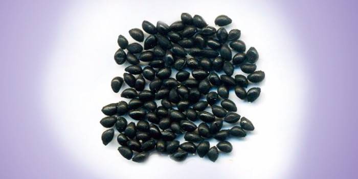 Nasiona