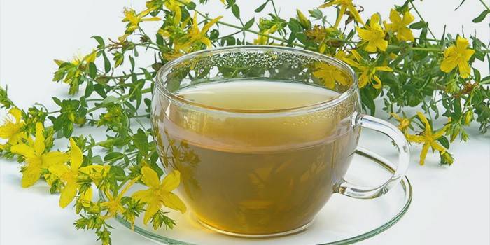 Caldo Hypericum en una taza