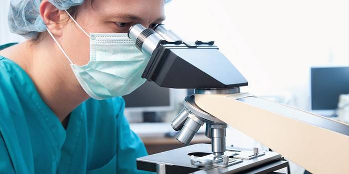El médico en el laboratorio realiza un coprograma.