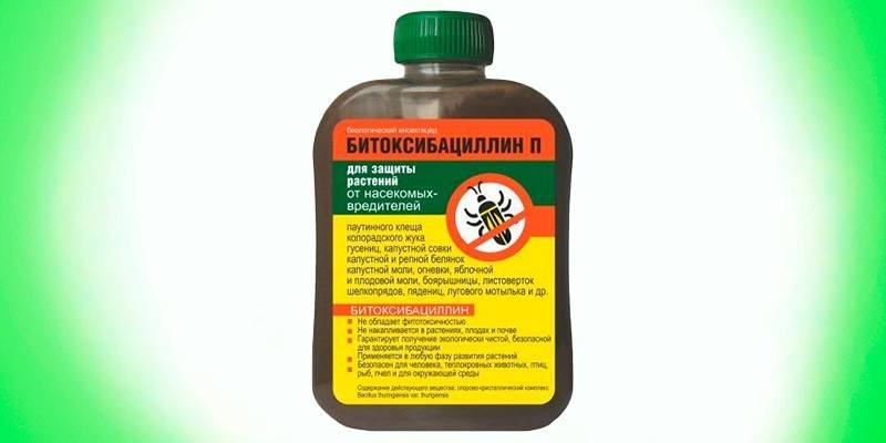 Bitoksybacylina