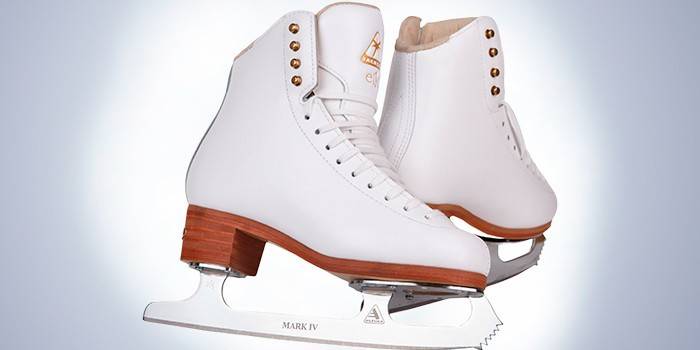 Jackson Elle ml. Ultima Mirage