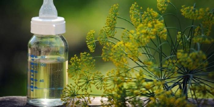 Dill água em uma mamadeira e dill