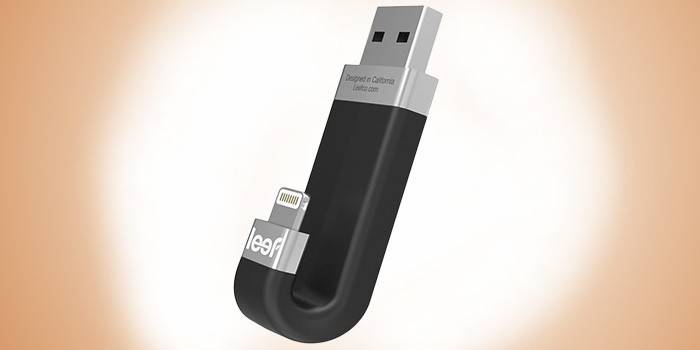  Leef iBridge