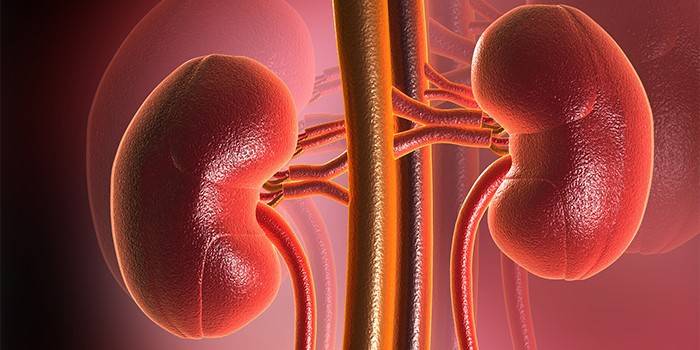 Insuficiência renal no esquema