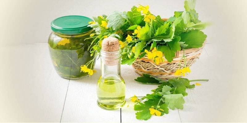 Цветови и сок од целандина