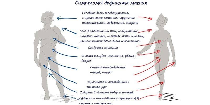 Objawy niedoboru magnezu u kobiet i mężczyzn