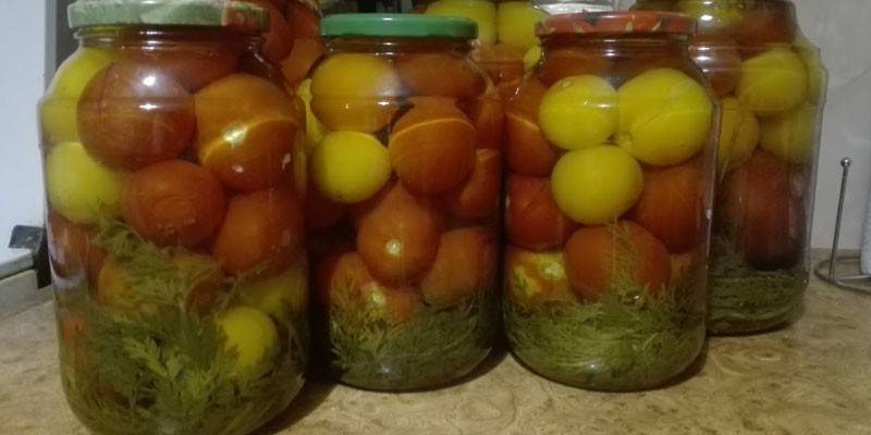 Tomates con zanahorias