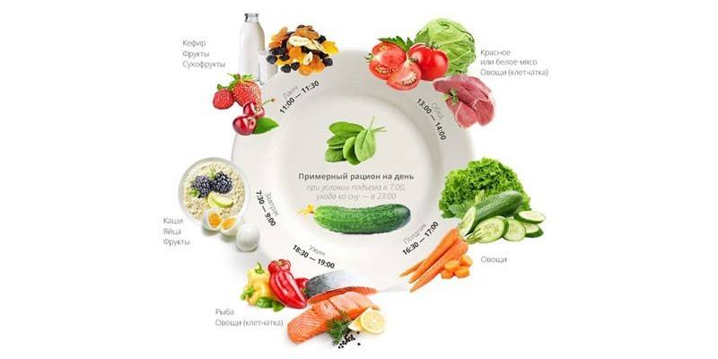 La base de una buena nutrición.