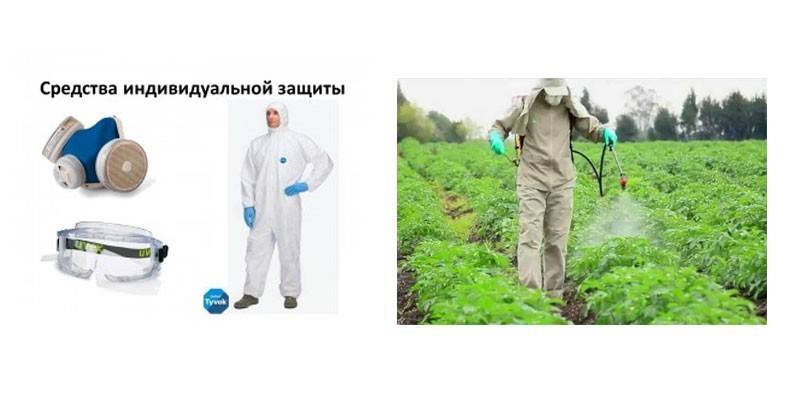 Sprzęt ochrony osobistej