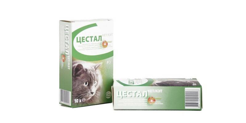 Droga Cestal